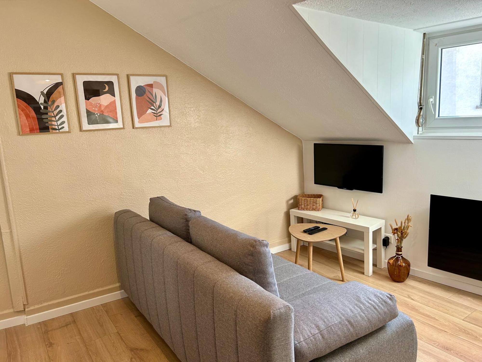Douce Agathe - Duo-Groupe, Chaleureux, Tram 200M, Centre 10Min Apartman Strasbourg Kültér fotó