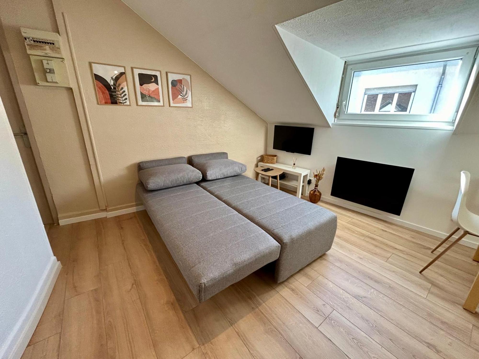Douce Agathe - Duo-Groupe, Chaleureux, Tram 200M, Centre 10Min Apartman Strasbourg Kültér fotó